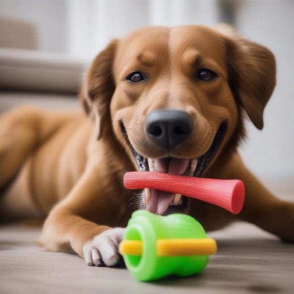 Safe and Durable Dog Chews