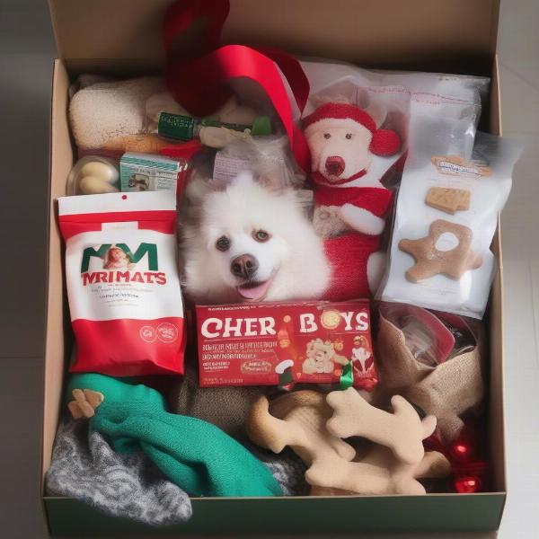 Safe Christmas Eve Box Items for Dogs