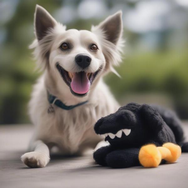 Senior Toothless Dog Playing