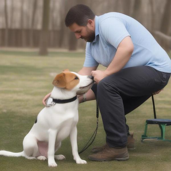 Slip Collar in Dog Training