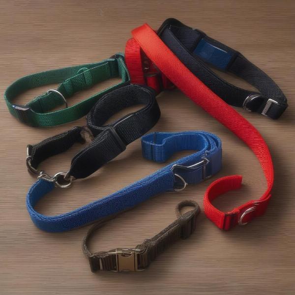 Different Types of Slip Dog Collars