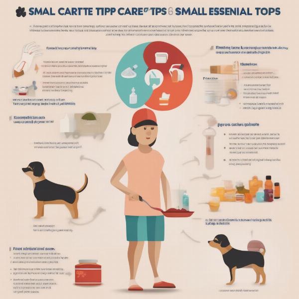 Essential Care Tips for Small Dogs