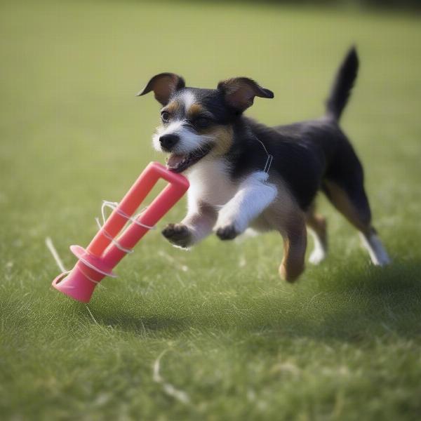 Small dog playing with canvas dummy