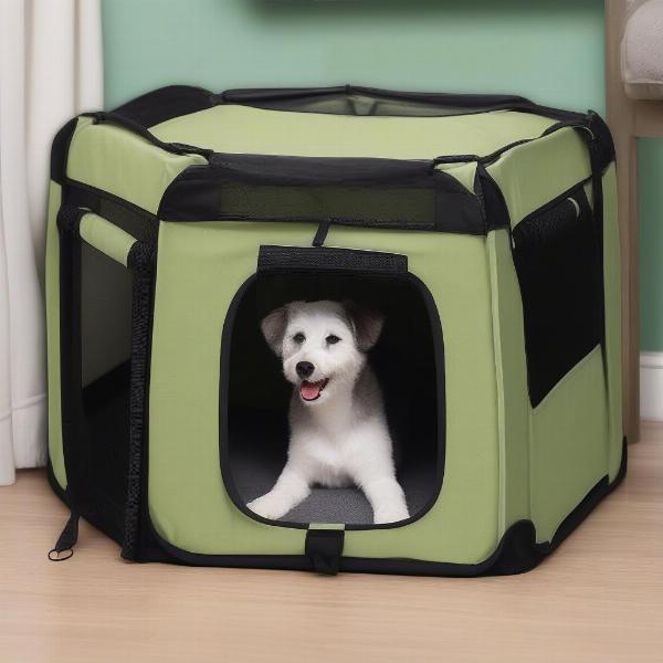 Soft-sided dog kennel for travel