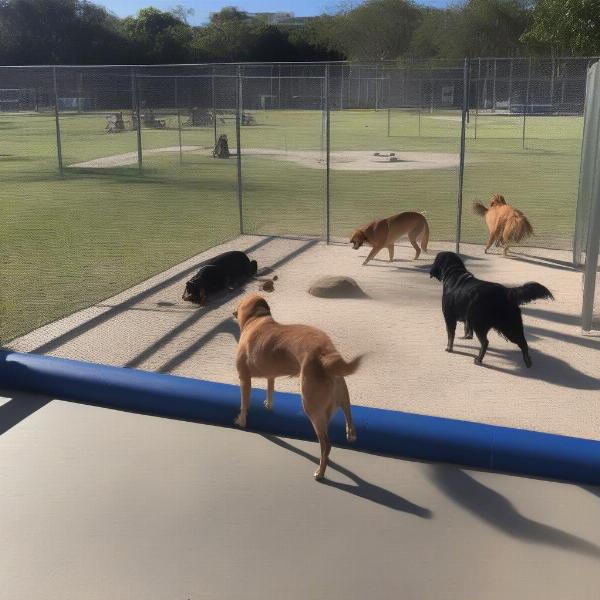 Spanish River Athletic Park Dog Park