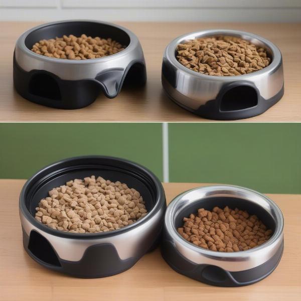 Specialized Dog Bowls for Different Needs