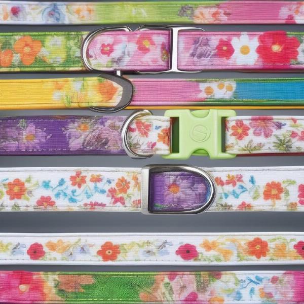 Spring Dog Collars with Floral Patterns