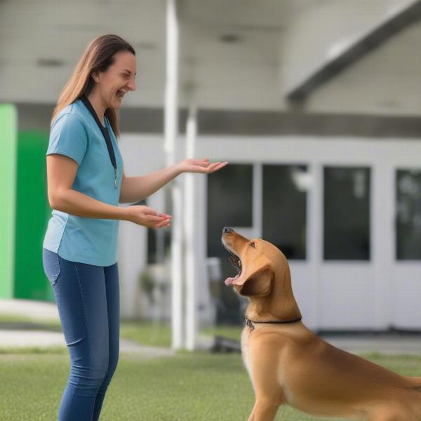 St. Pete dog training using positive reinforcement methods