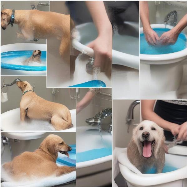 Stress-Free Dog Bath Time Tips