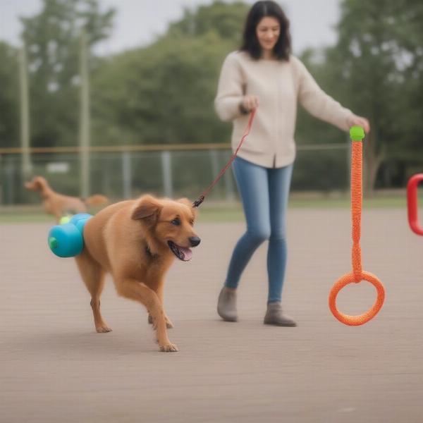 Using pull along toys in dog training