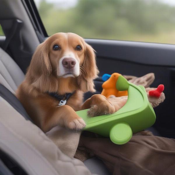 Keeping your dog comfortable on car rides