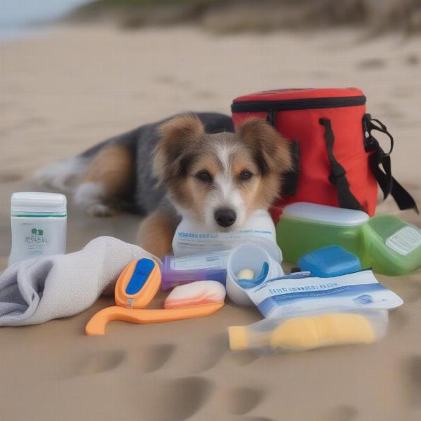 Packing essentials for a dog-friendly beach trip