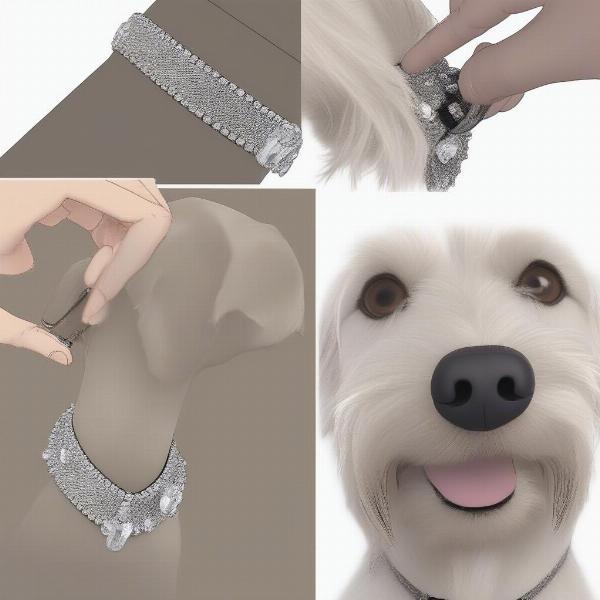 Properly Fitting a Swarovski Dog Collar