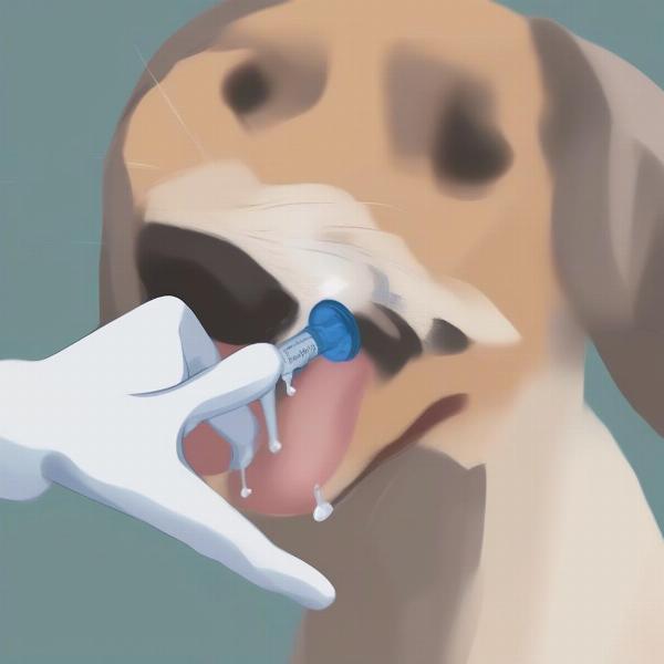 Correct syringe feeding technique for a dog