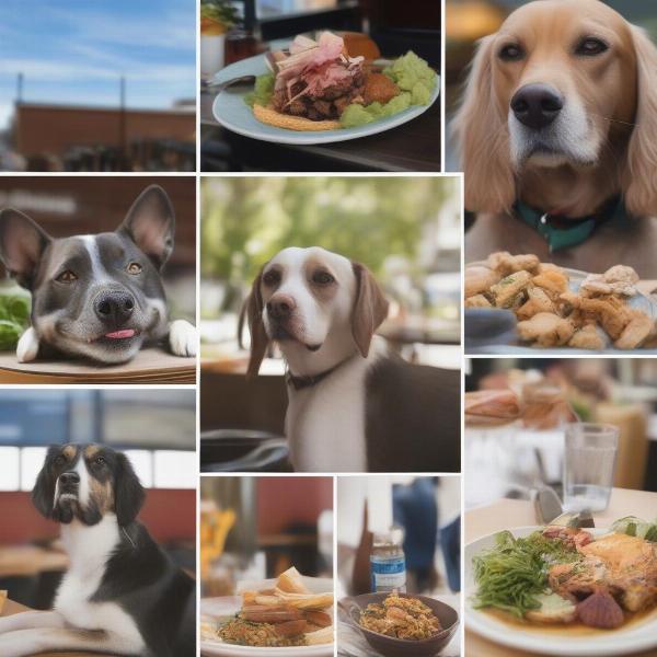 Dog-Friendly Restaurants in Tacoma