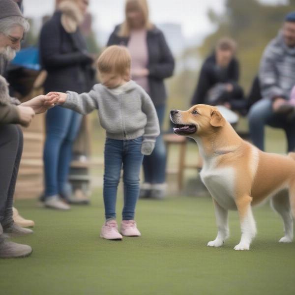 Training and Socializing a Tea Cup Dog