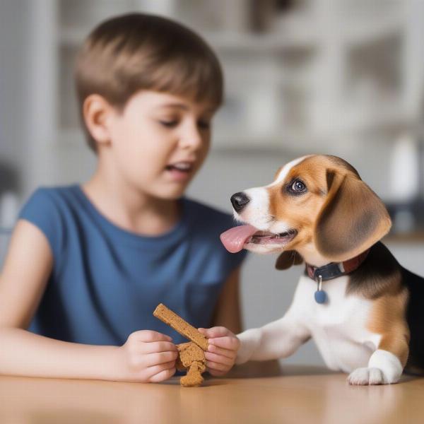 Teaching Your Beagle Their Name