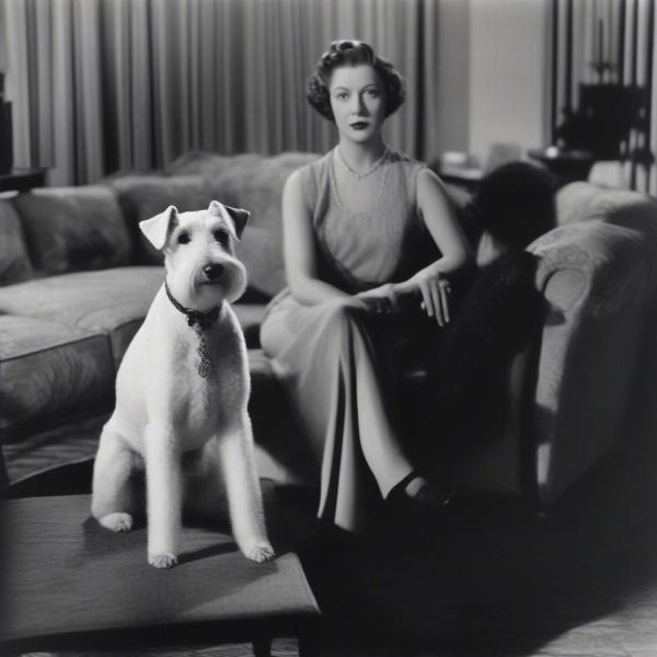 Asta, the Wire Fox Terrier from The Thin Man movies