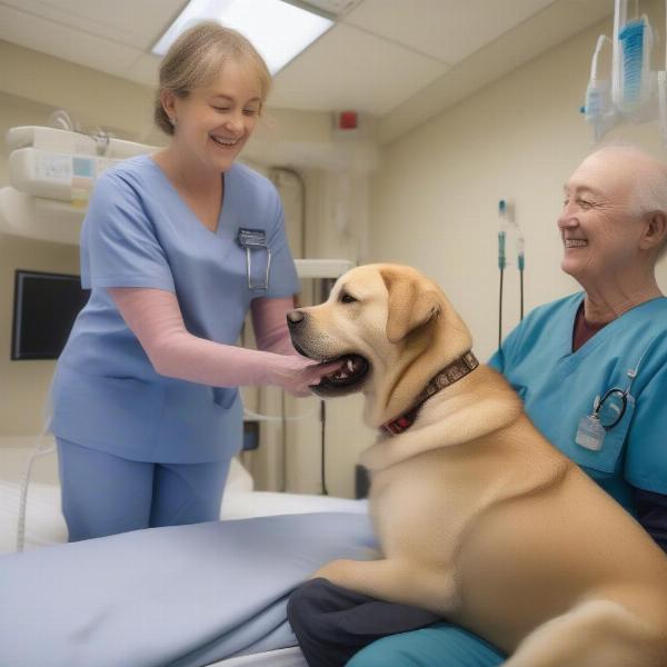 Therapy Dog Visiting a Hospital Patient