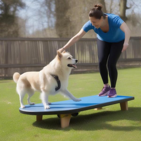 Three Legged Dog Balance Exercises