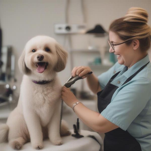 Finding the Right Groomer for Your Dog in Stockton