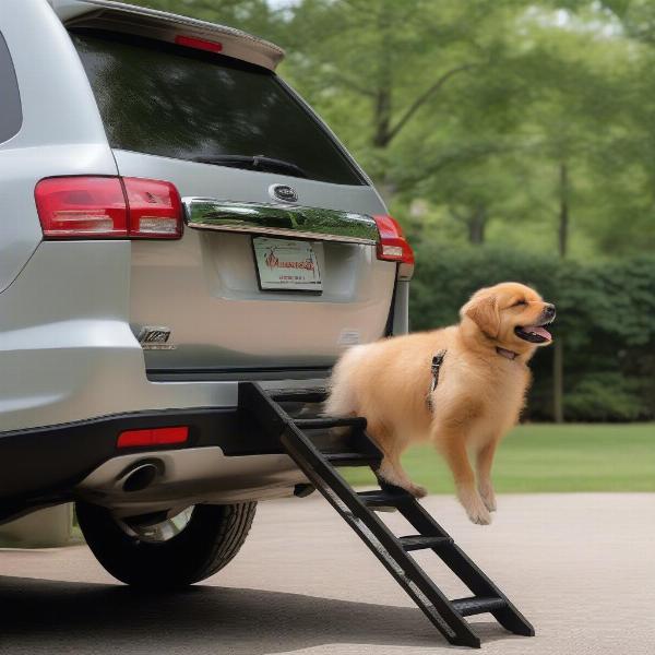 Trailer Hitch Dog Steps for SUVs