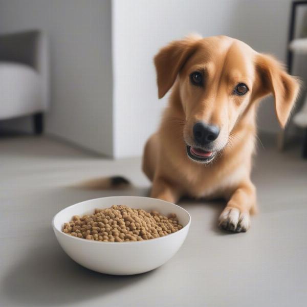 Dog eating from a bowl containing a mix of old and new food