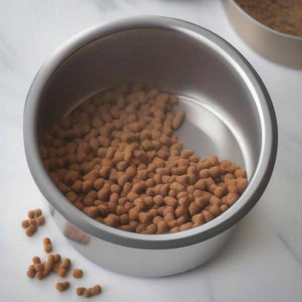 Transitioning to Canadian Dog Food