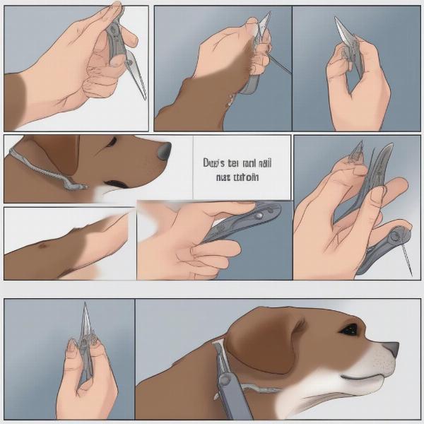 Trimming Dog Nails Safely