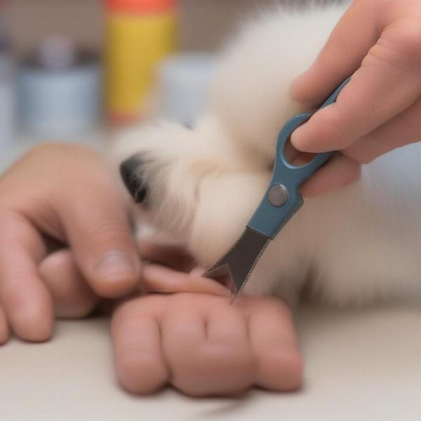 Trimming Small Dog's Nails Safely