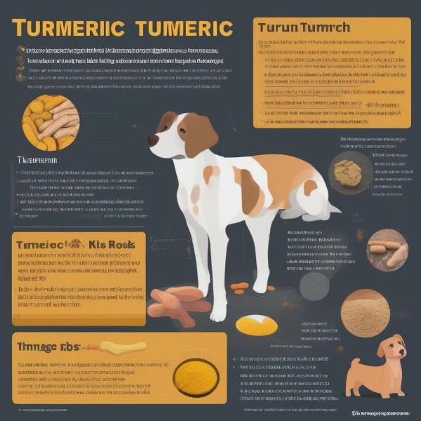 Turmeric powder risks for dogs