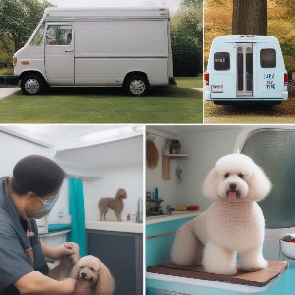 Types of dog grooming services available in Hereford