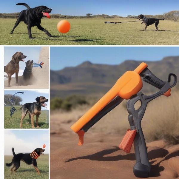 Types of Dog Ball Launchers Available in South Africa