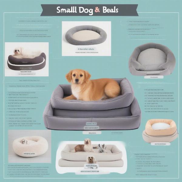 Different Types of Small Dog Beds for Various Needs