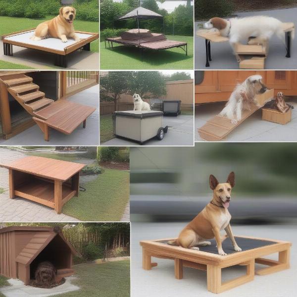 Types of Dog Platforms