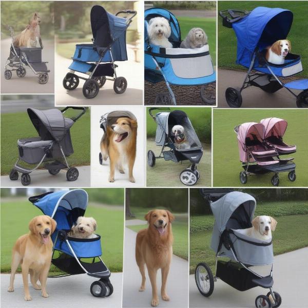 Different types of medium dog strollers