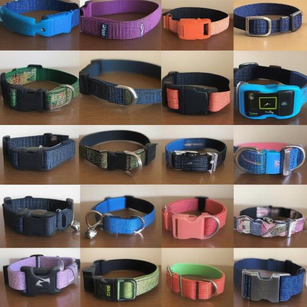 Types of Electric Dog Collars