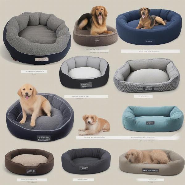 Types of Inexpensive Dog Beds