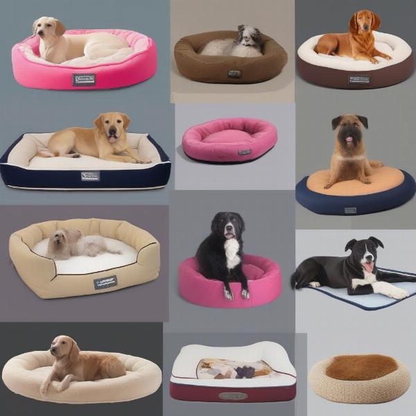 Various Medium Dog Bed Styles