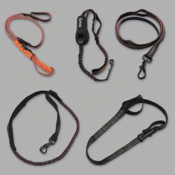 Different Types of Shock Absorbing Dog Leashes