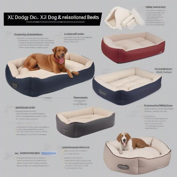 Different Types of XL Dog Beds