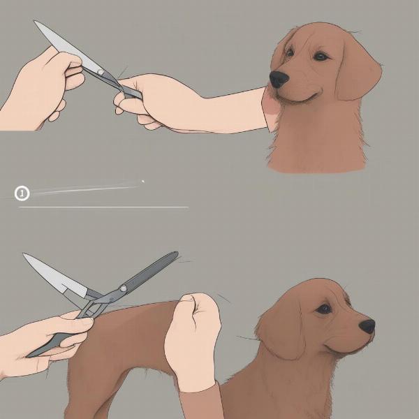 Step-by-step guide on using dog thinning scissors