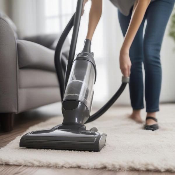 Vacuuming Dog Hair from Carpet