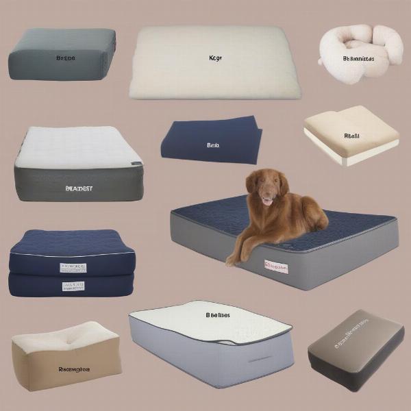 Dog crate bed materials - Durability, comfort, and cleanliness