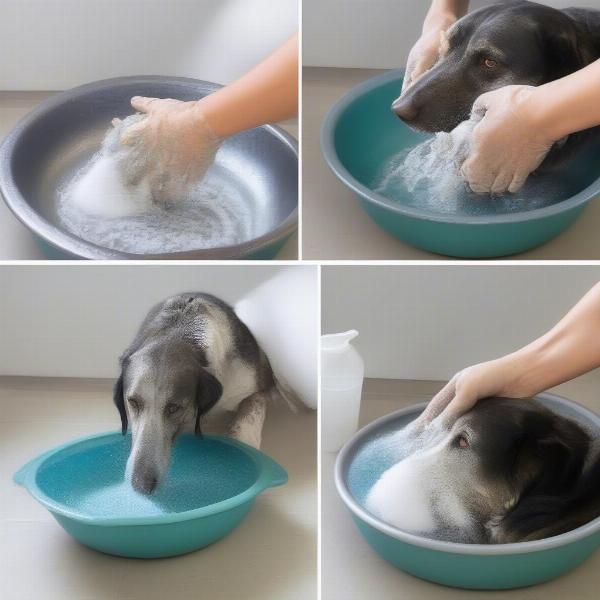 Cleaning Big Water Bowls for Dogs