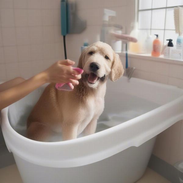 Cleaning a Dog Bath Tub