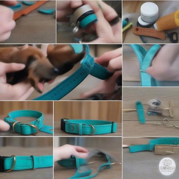 Cleaning a Teal Dog Collar