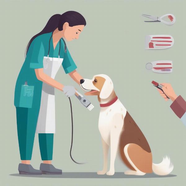 Veterinarian Examining Dog for Fleas