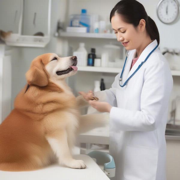 Veterinarian Examining a Dog