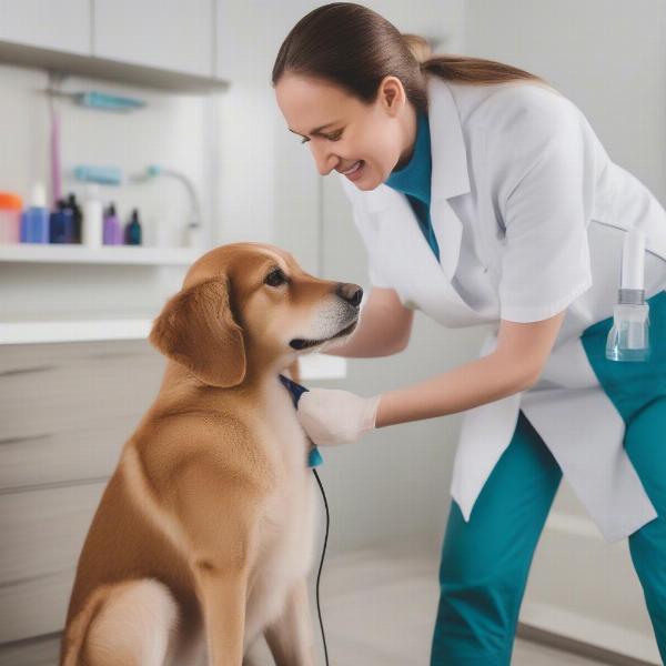 Cleaning a dog's ear